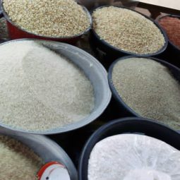 Maïs, mil, gari…, le Bénin interdit l’exportation des produits vivriers vers les pays voisins